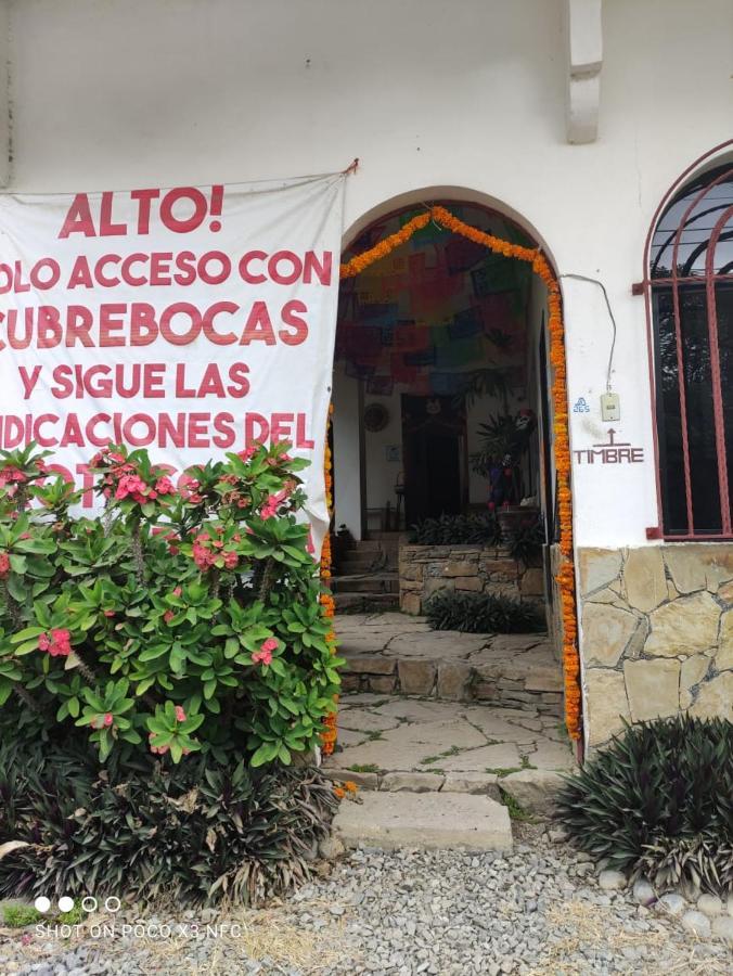 Hotel Raiz De Sierra Matlapa Екстер'єр фото